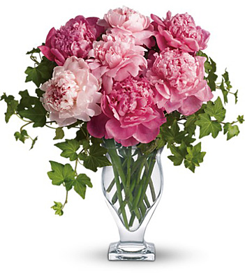 Teleflora's Perfect Peonies